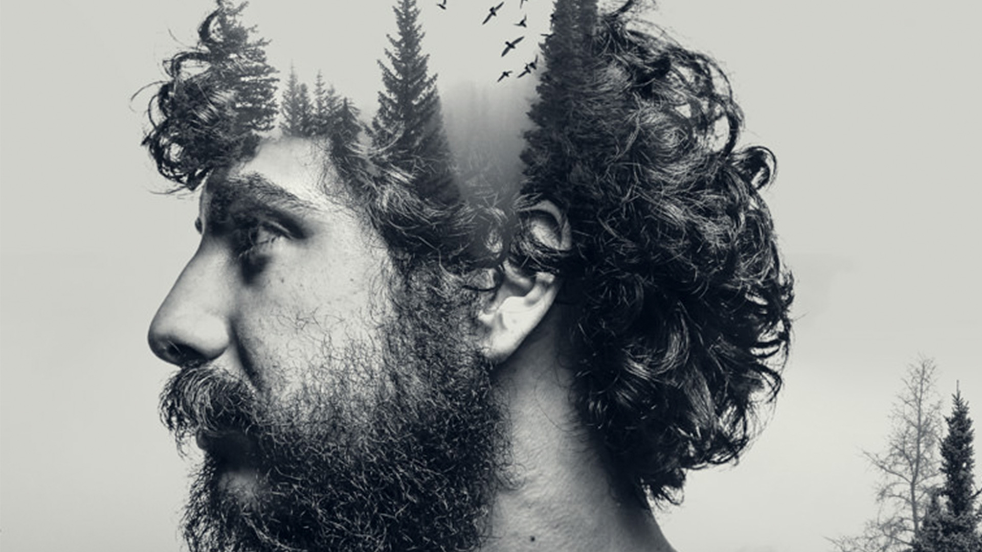 photoshop double exposure phlearn feature