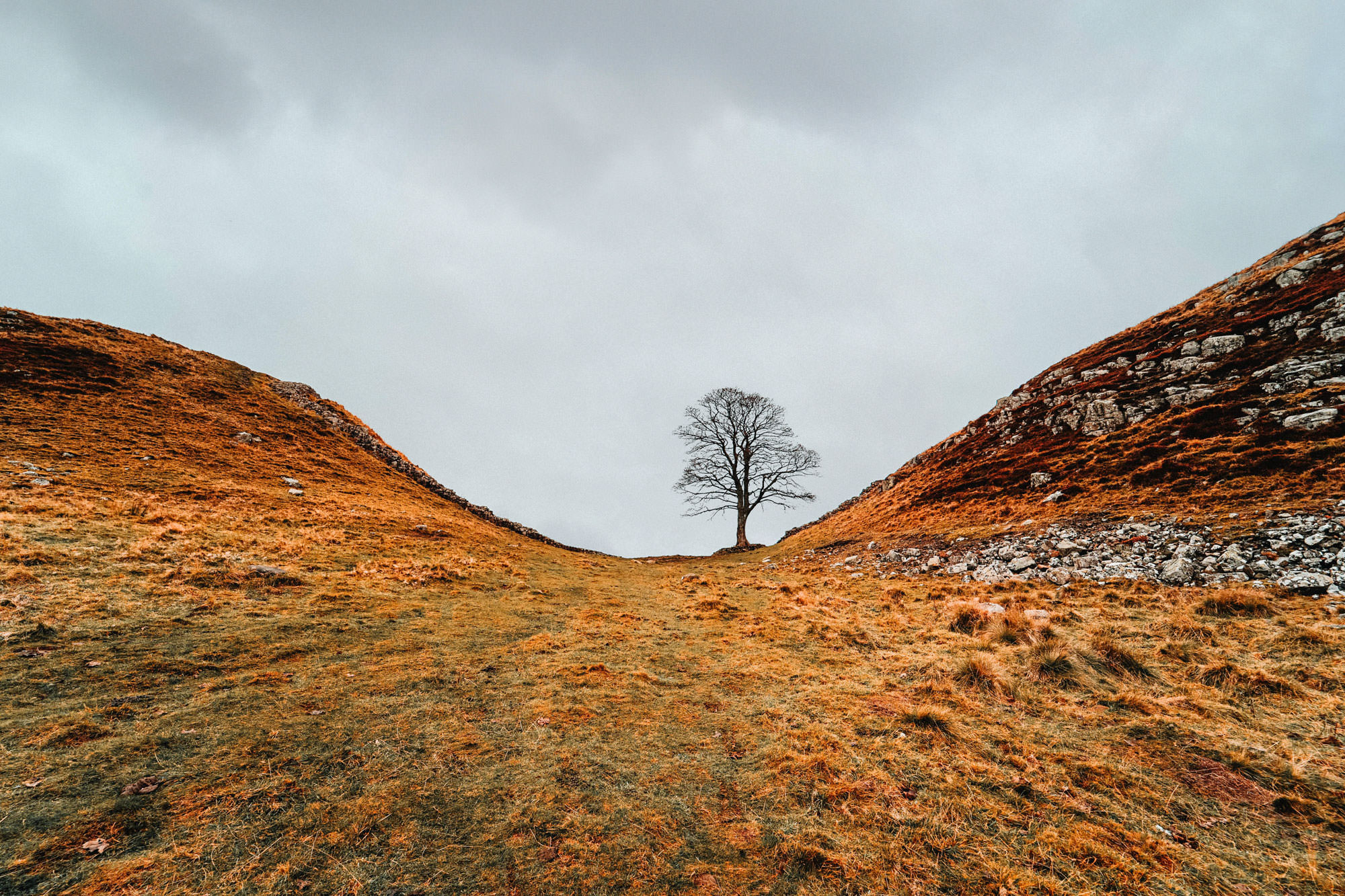 opening editing and saving in photoshop example